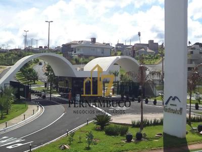 imagem-miniatura
