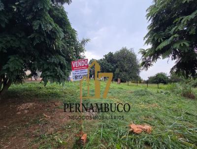 Terreno para Venda, em Bady Bassitt, bairro JARDIM TANGARA