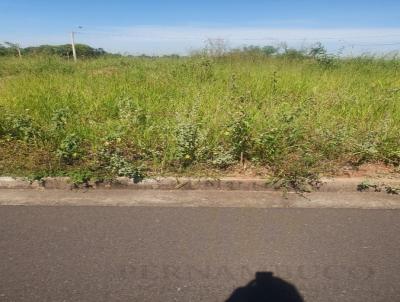 Terreno para Venda, em S�o Jos� do Rio Preto, bairro ARY ATTAB III
