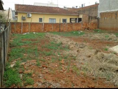 Terreno para Venda, em S�o Jos� do Rio Preto, bairro Vila Zilda